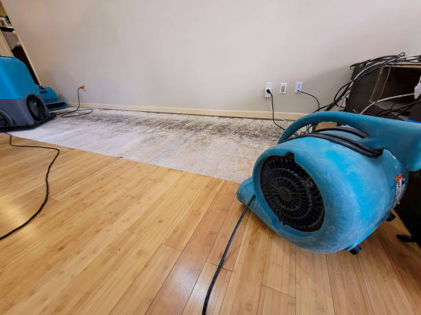 Reliable Basement Flood Cleanup contractor in Bastrop, TX by Hirex Water Damage