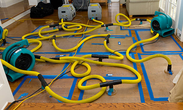 Professional Basement Flood Cleanup technician working in Bastrop, TX